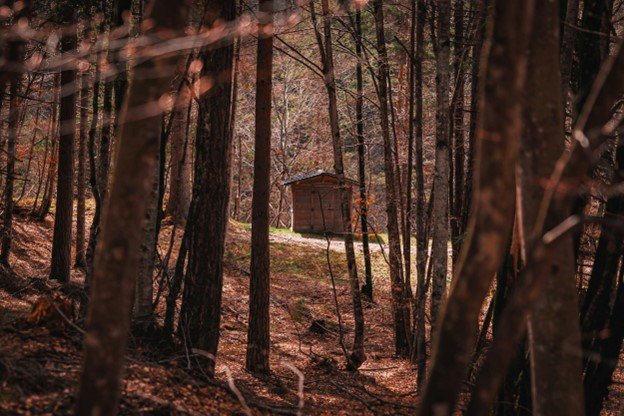 Aroha Spa | The 8 Chakras Sanctuary
