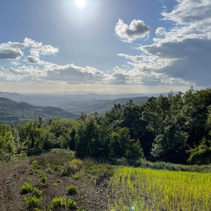Villa at Monte Faete Reserve, Tuscany